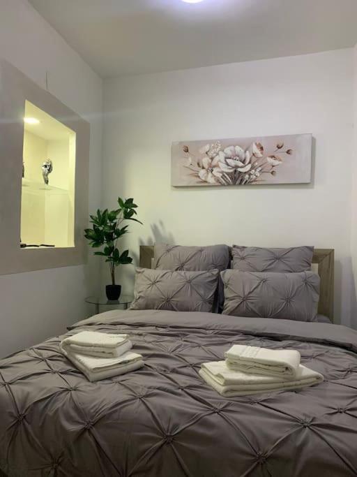 Studio Central Mm Apartments Brassó Kültér fotó