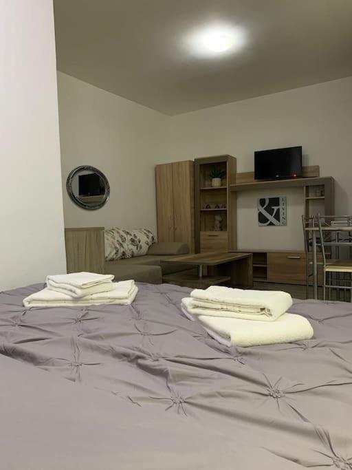 Studio Central Mm Apartments Brassó Kültér fotó