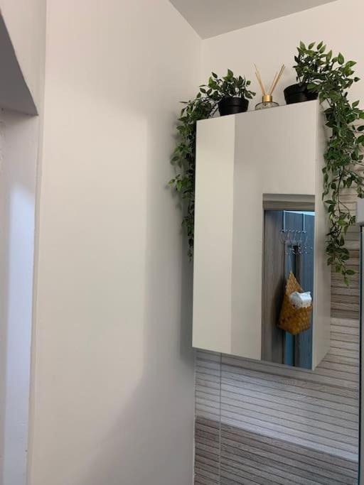 Studio Central Mm Apartments Brassó Kültér fotó